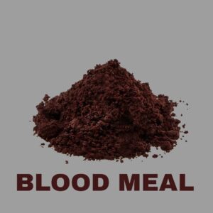 Blood Meal for Plants