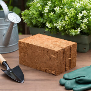coco peat