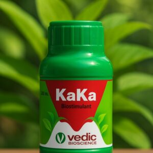 kaka