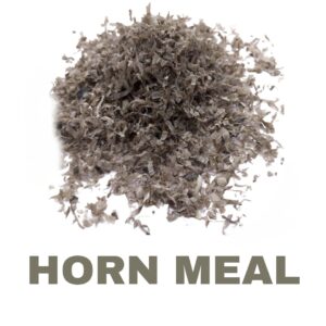 Organic Horn Meal for Plants