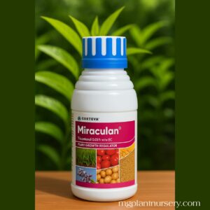 Miraculan