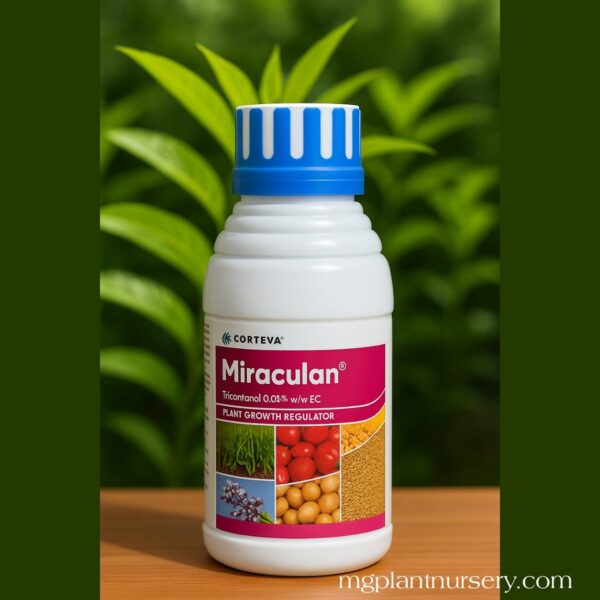 Miraculan