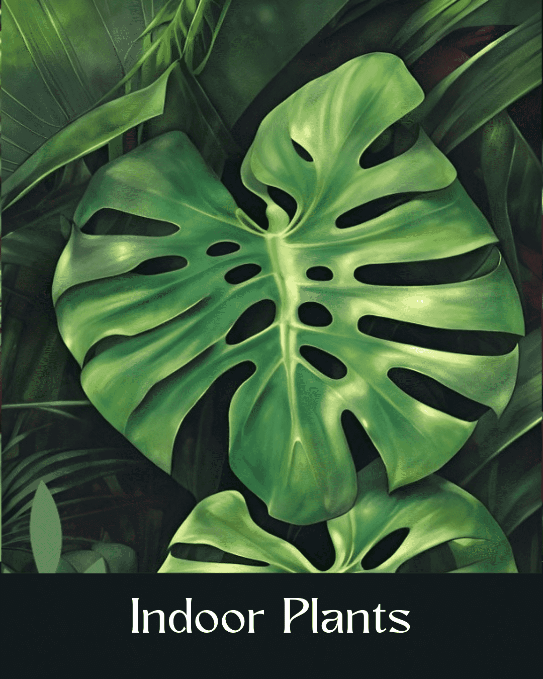 Indoor Plants