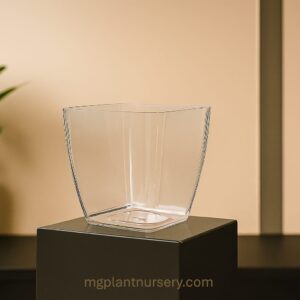 transparent pot