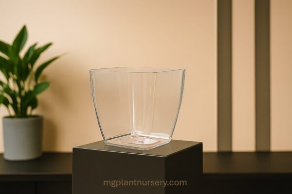 transparent pot