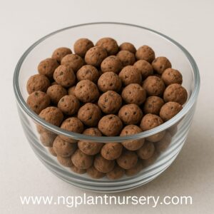 LECA Balls | Clay Balls for Plants & Hydroponics