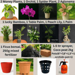 Balcony Gardening Combo